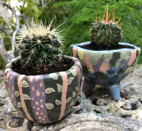Cactus Pots